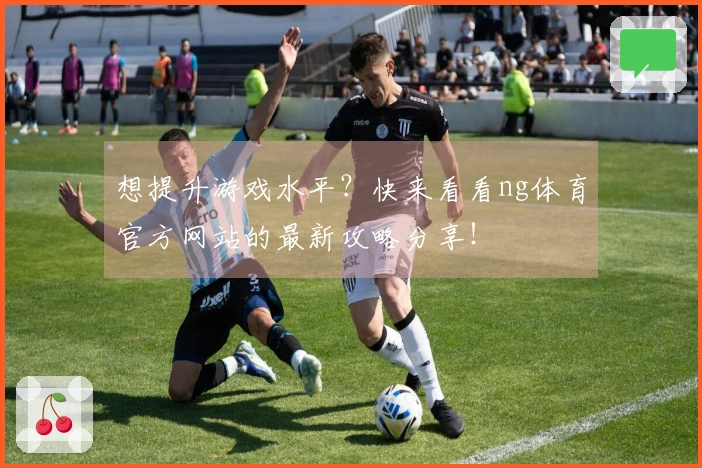 想提升游戏水平？快来看看ng体育官方网站的最新攻略分享！