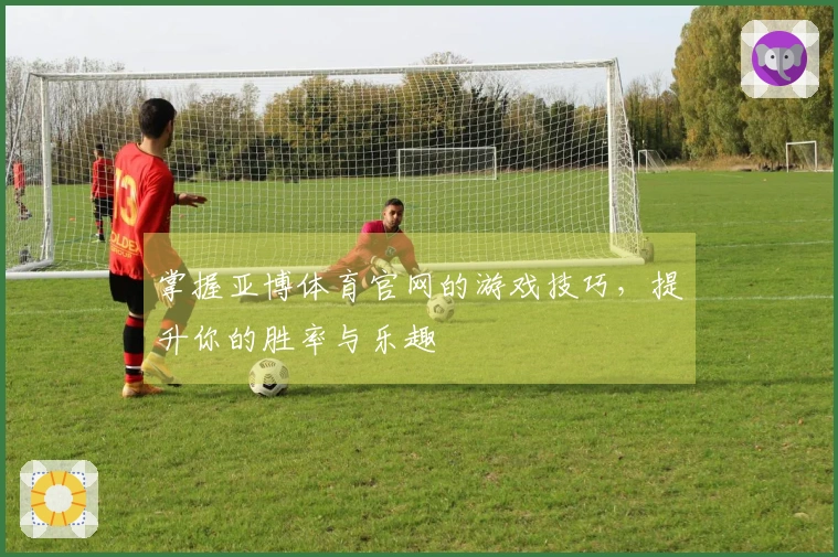 掌握亚博体育官网的游戏技巧，提升你的胜率与乐趣