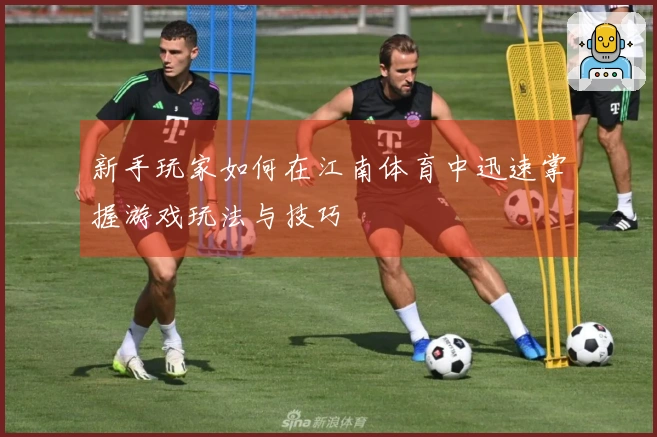 新手玩家如何在江南体育中迅速掌握游戏玩法与技巧